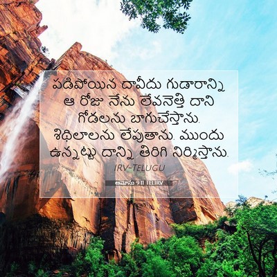 Picture 07 - ఆమోసు 9:11 TELIRV - పడిపోయిన దావీదు - Bible Verse Picture