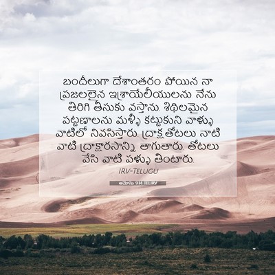 Picture 07 - ఆమోసు 9:14 TELIRV - బందీలుగా దేశాంతరం - Bible Verse Picture