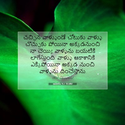 Picture 07 - ఆమోసు 9:2 TELIRV - చచ్చిన వాళ్ళుండే - Bible Verse Picture