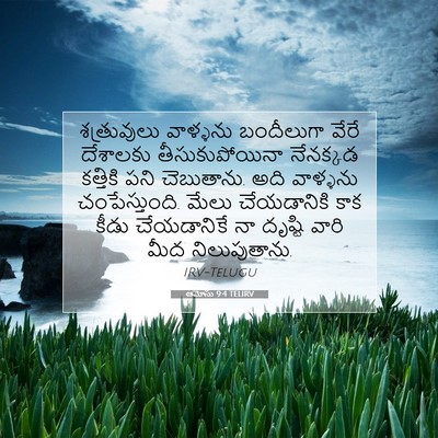 Picture 07 - ఆమోసు 9:4 TELIRV - శత్రువులు వాళ్ళను - Bible Verse Picture