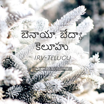 Picture 07 - ఎజ్రా 10:35 TELIRV - బెనాయా, బేద్యా, - Bible Verse Picture