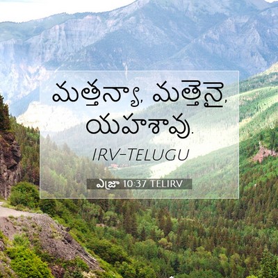 Picture 07 - ఎజ్రా 10:37 TELIRV - మత్తన్యా, మత్తెనై, - Bible Verse Picture