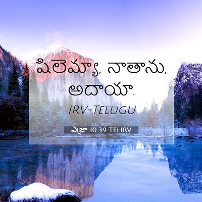 Picture 07 - ఎజ్రా 10:39 TELIRV - షిలెమ్యా, నాతాను, - Bible Verse Picture
