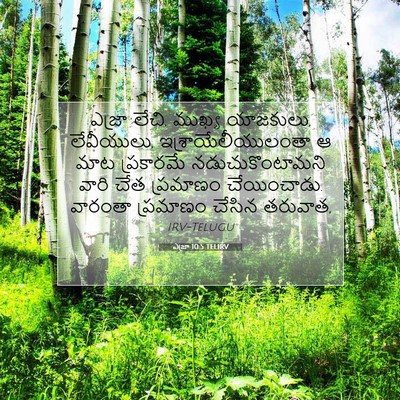 Picture 07 - ఎజ్రా 10:5 TELIRV - ఎజ్రా లేచి, ముఖ్య - Bible Verse Picture