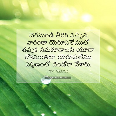 Picture 07 - ఎజ్రా 10:7 TELIRV - చెరనుండి తిరిగి - Bible Verse Picture