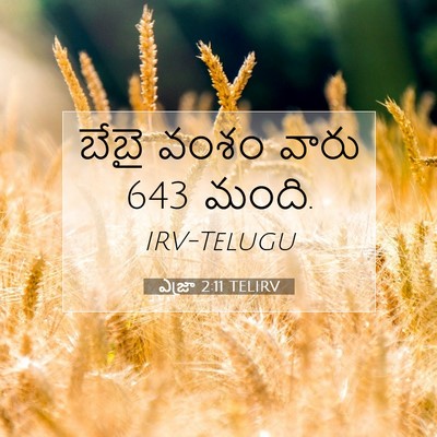 Picture 07 - ఎజ్రా 2:11 TELIRV - బేబై వంశం వారు 643 - Bible Verse Picture