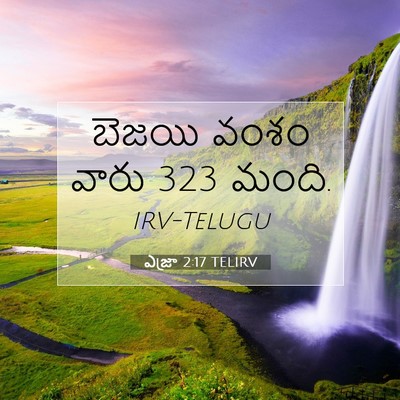 Picture 07 - ఎజ్రా 2:17 TELIRV - బెజయి వంశం వారు 323 - Bible Verse Picture