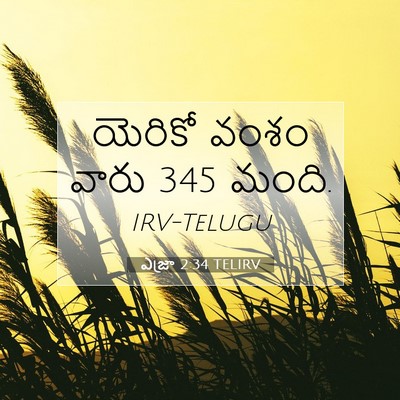 Picture 07 - ఎజ్రా 2:34 TELIRV - యెరికో వంశం వారు 345 - Bible Verse Picture