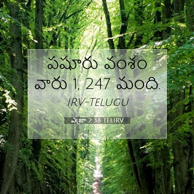 Picture 07 - ఎజ్రా 2:38 TELIRV - పషూరు వంశం వారు 1, 247 - Bible Verse Picture