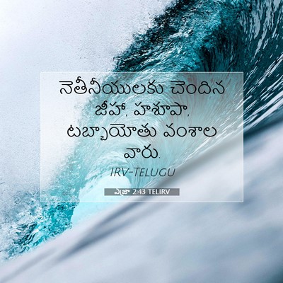 Picture 07 - ఎజ్రా 2:43 TELIRV - నెతీనీయులకు - Bible Verse Picture