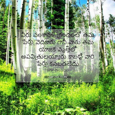 Picture 07 - ఎజ్రా 2:62 TELIRV - వీరు వంశావళి - Bible Verse Picture