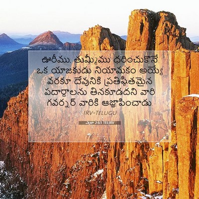 Picture 07 - ఎజ్రా 2:63 TELIRV - ఊరీము, తుమ్మీము - Bible Verse Picture