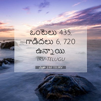 Picture 07 - ఎజ్రా 2:67 TELIRV - ఒంటెలు 435, గాడిదలు 6, - Bible Verse Picture