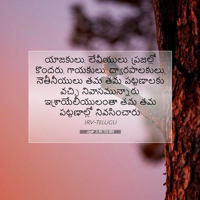 Picture 07 - ఎజ్రా 2:70 TELIRV - యాజకులు, లేవీయులు, - Bible Verse Picture