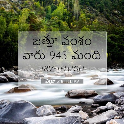Picture 07 - ఎజ్రా 2:8 TELIRV - జత్తూ వంశం వారు 945 - Bible Verse Picture