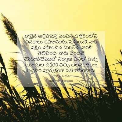 Picture 07 - ఎజ్రా 4:23 TELIRV - రాజైన అర్తహషస్త - Bible Verse Picture