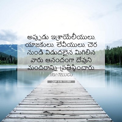 Picture 07 - ఎజ్రా 6:16 TELIRV - అప్పుడు - Bible Verse Picture
