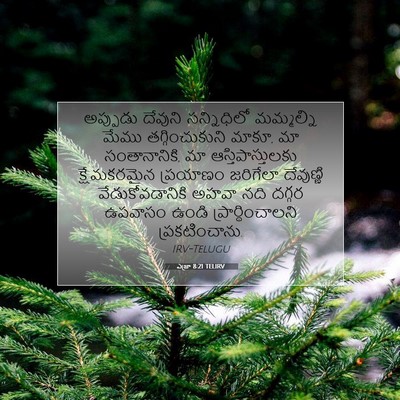 Picture 07 - ఎజ్రా 8:21 TELIRV - అప్పుడు దేవుని - Bible Verse Picture