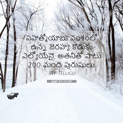 Picture 07 - ఎజ్రా 8:4 TELIRV - పహత్మోయాబు వంశంలో - Bible Verse Picture