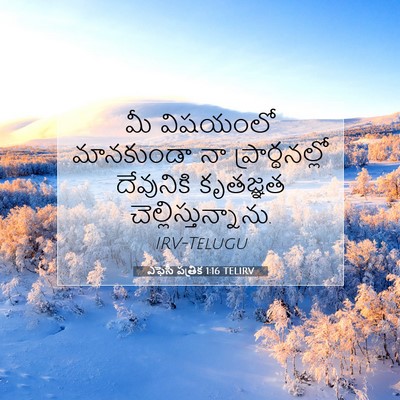 Picture 07 - ఎఫెసీ పత్రిక 1:16 TELIRV - మీ విషయంలో - Bible Verse Picture