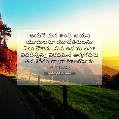 Picture 07 - ఎఫెసీ పత్రిక 2:14 TELIRV - ఆయనే మన శాంతి. ఆయన - Bible Verse Picture