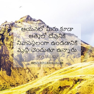 Picture 07 - ఎఫెసీ పత్రిక 2:22 TELIRV - ఆయనలో మీరు కూడా - Bible Verse Picture