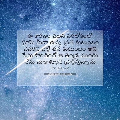 Picture 07 - ఎఫెసీ పత్రిక 3:14 TELIRV - ఈ కారణం వలన - Bible Verse Picture