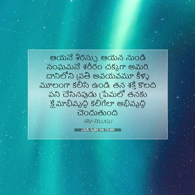 Picture 07 - ఎఫెసీ పత్రిక 4:16 TELIRV - ఆయనే శిరస్సు. ఆయన - Bible Verse Picture