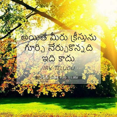 Picture 07 - ఎఫెసీ పత్రిక 4:20 TELIRV - అయితే మీరు - Bible Verse Picture