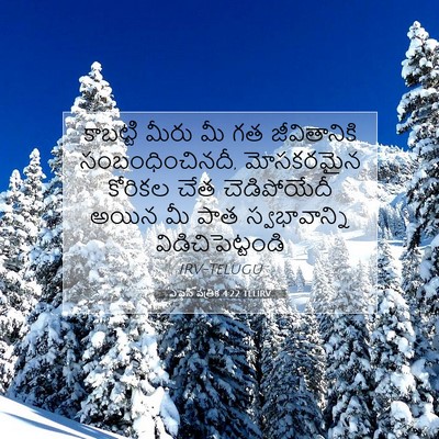Picture 07 - ఎఫెసీ పత్రిక 4:22 TELIRV - కాబట్టి మీరు మీ గత - Bible Verse Picture