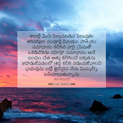 Picture 07 - ఎఫెసీ పత్రిక 4:3 TELIRV - కాబట్టి మీరు - Bible Verse Picture