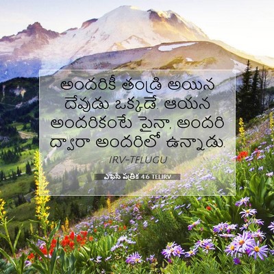 Picture 07 - ఎఫెసీ పత్రిక 4:6 TELIRV - అందరికీ తండ్రి - Bible Verse Picture