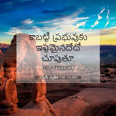 Picture 07 - ఎఫెసీ పత్రిక 5:10 TELIRV - కాబట్టి ప్రభువుకు - Bible Verse Picture