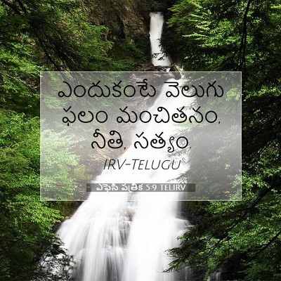 Picture 07 - ఎఫెసీ పత్రిక 5:9 TELIRV - ఎందుకంటే వెలుగు - Bible Verse Picture
