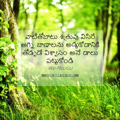 Picture 07 - ఎఫెసీ పత్రిక 6:16 TELIRV - వాటితోబాటు - Bible Verse Picture