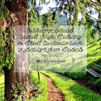 Picture 07 - ఎఫెసీ పత్రిక 6:5 TELIRV - సేవకులారా, భయంతో - Bible Verse Picture