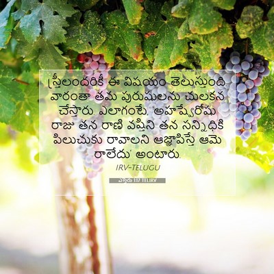 Picture 07 - ఎస్తేరు 1:17 TELIRV - స్త్రీలందరికీ ఈ - Bible Verse Picture