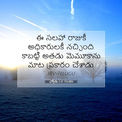 Picture 07 - ఎస్తేరు 1:21 TELIRV - ఈ సలహా రాజుకీ - Bible Verse Picture