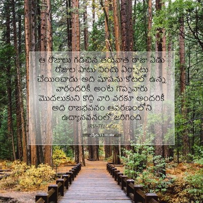 Picture 07 - ఎస్తేరు 1:5 TELIRV - ఆ రోజులు గడిచిన - Bible Verse Picture