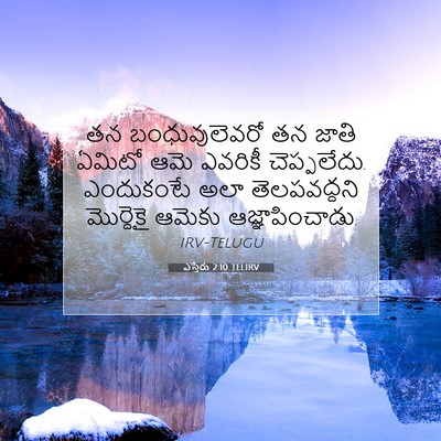 Picture 07 - ఎస్తేరు 2:10 TELIRV - తన బంధువులెవరో తన - Bible Verse Picture