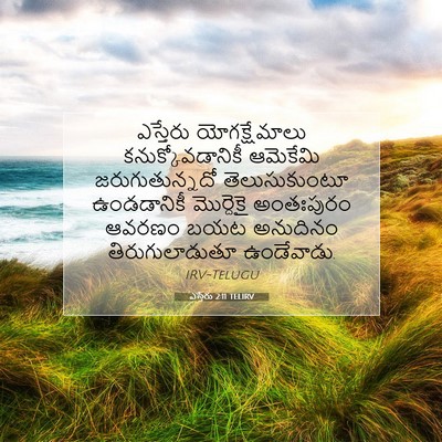 Picture 07 - ఎస్తేరు 2:11 TELIRV - ఎస్తేరు - Bible Verse Picture