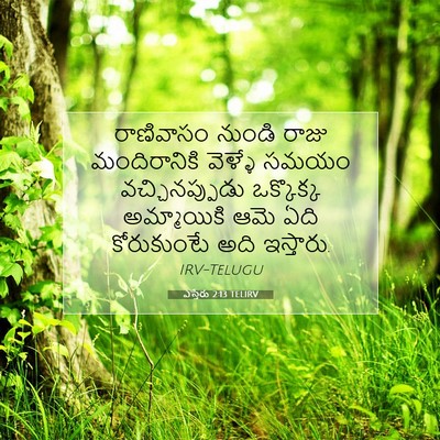 Picture 07 - ఎస్తేరు 2:13 TELIRV - రాణివాసం నుండి - Bible Verse Picture
