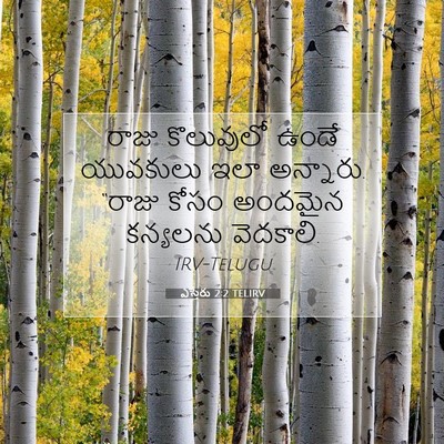 Picture 07 - ఎస్తేరు 2:2 TELIRV - రాజు కొలువులో - Bible Verse Picture