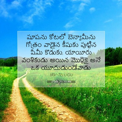 Picture 07 - ఎస్తేరు 2:5 TELIRV - షూషను కోటలో - Bible Verse Picture