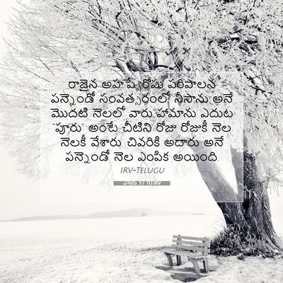 Picture 07 - ఎస్తేరు 3:7 TELIRV - రాజైన అహష్వేరోషు - Bible Verse Picture