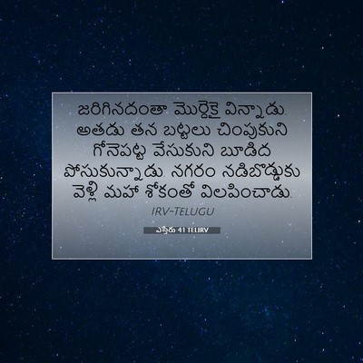 Picture 07 - ఎస్తేరు 4:1 TELIRV - జరిగినదంతా - Bible Verse Picture