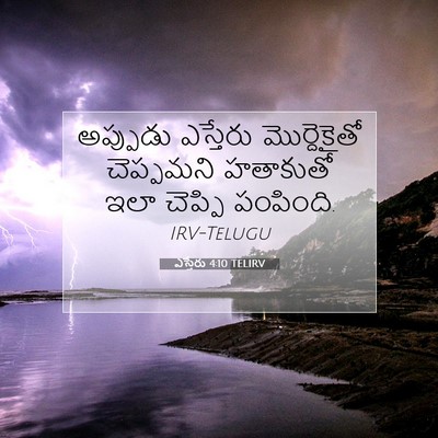Picture 07 - ఎస్తేరు 4:10 TELIRV - అప్పుడు ఎస్తేరు - Bible Verse Picture