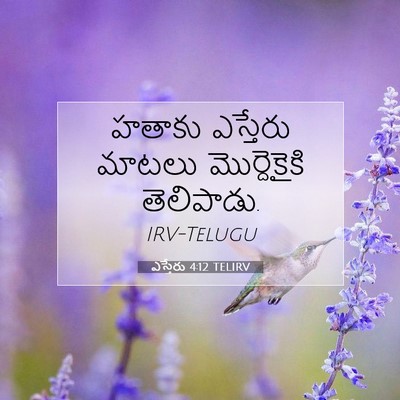 Picture 07 - ఎస్తేరు 4:12 TELIRV - హతాకు ఎస్తేరు - Bible Verse Picture