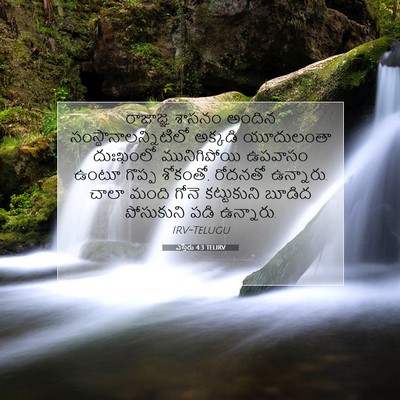 Picture 07 - ఎస్తేరు 4:3 TELIRV - రాజాజ్ఞ, శాసనం - Bible Verse Picture
