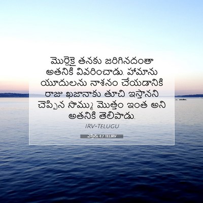 Picture 07 - ఎస్తేరు 4:7 TELIRV - మొర్దెకై తనకు - Bible Verse Picture